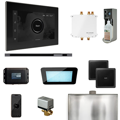 Mr.Steam Bliss Steam Shower Control Package with iSteamX Control and Linear Steamhead