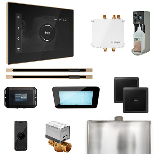 Mr.Steam Bliss Max Steam Shower Control Package with iSteamX Control and 2 Linear Steamheads