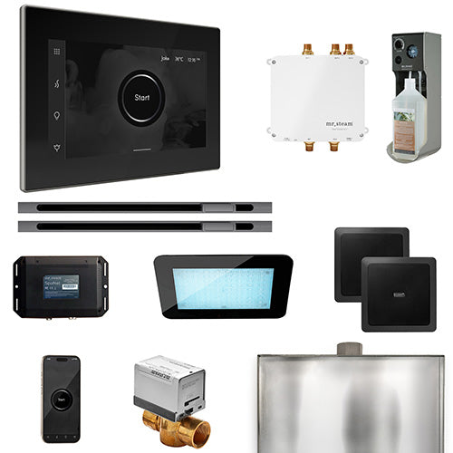 Mr.Steam Bliss Max Steam Shower Control Package with iSteamX Control and 2 Linear Steamheads