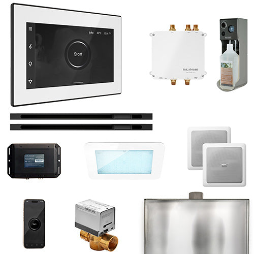 Mr.Steam Bliss Max Steam Shower Control Package with iSteamX Control and 2 Linear Steamheads