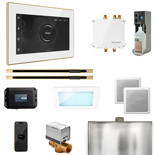 Mr.Steam Bliss Max Steam Shower Control Package with iSteamX Control and 2 Linear Steamheads