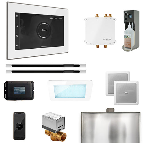 Mr.Steam Bliss Max Steam Shower Control Package with iSteamX Control and 2 Linear Steamheads