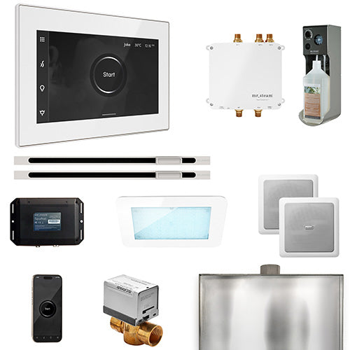 Mr.Steam Bliss Max Steam Shower Control Package with iSteamX Control and 2 Linear Steamheads