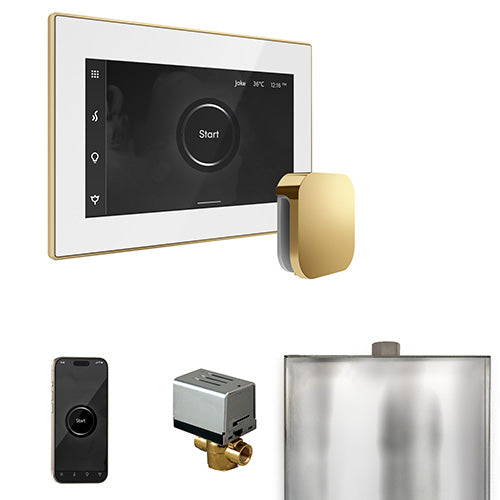 Mr.Steam XButler Steam Shower Control Package with iSteamX Control and Aroma Steamhead
