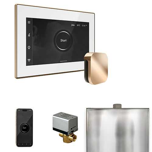 Mr.Steam XButler Steam Shower Control Package with iSteamX Control and Aroma Steamhead