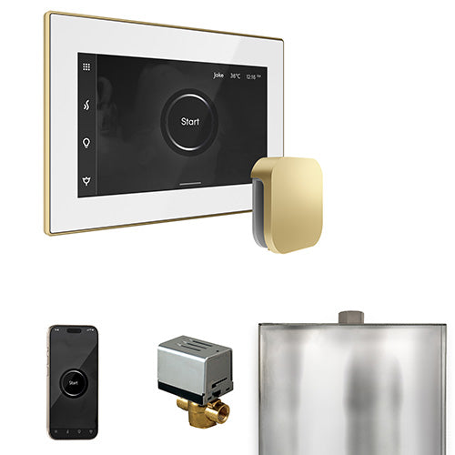 Mr.Steam XButler Steam Shower Control Package with iSteamX Control and Aroma Steamhead