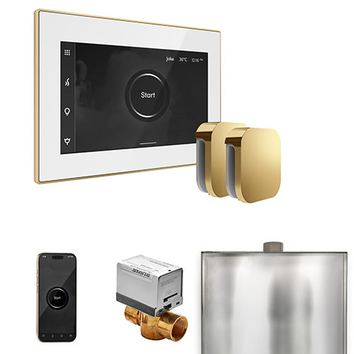 Mr.Steam XButler Max Steam Shower Control Package with iSteamX Control and 2 Aroma Steamhead