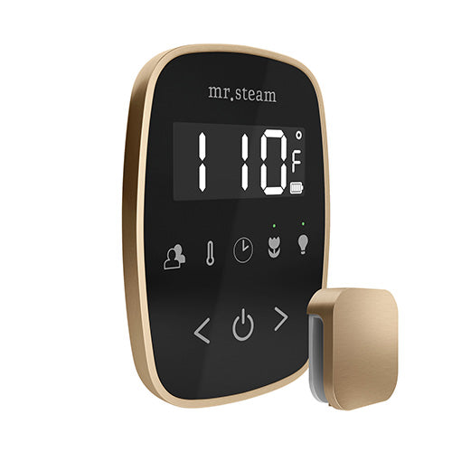 Mr.Steam TempoFlex Steam Shower Control and Steamhead