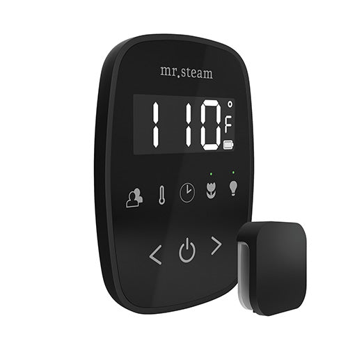 Mr.Steam TempoFlex Steam Shower Control and Steamhead