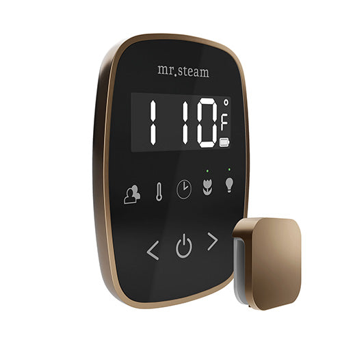 Mr.Steam TempoFlex Steam Shower Control and Steamhead