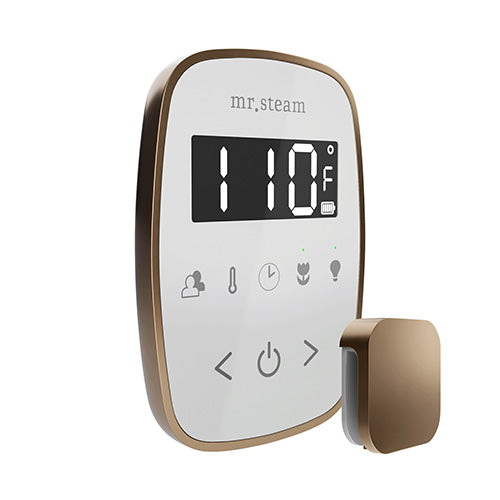 Mr.Steam TempoFlex Steam Shower Control and Steamhead