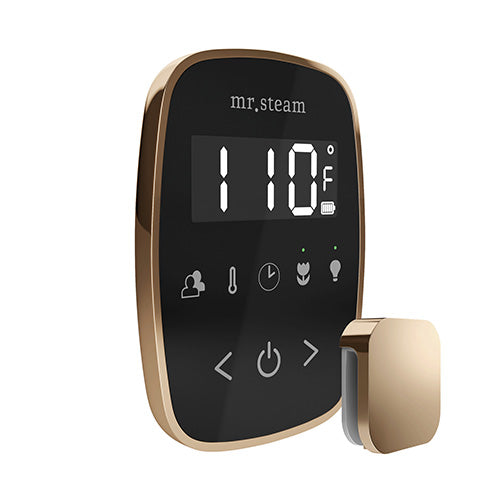 Mr.Steam TempoFlex Steam Shower Control and Steamhead