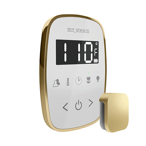 Mr.Steam TempoFlex Steam Shower Control and Steamhead