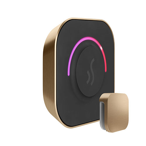 Mr.Steam TempoTouch Steam Shower Control and Steamhead