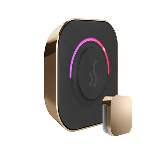 Mr.Steam TempoTouch Steam Shower Control and Steamhead