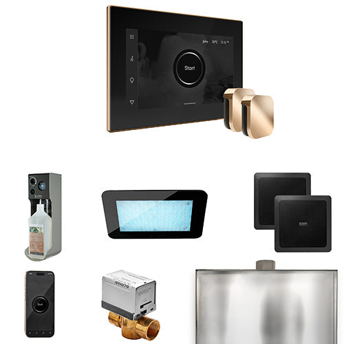 Mr.Steam XDream Max Steam Shower Control Package with iSteamX Control and Two Aroma SteamHeads