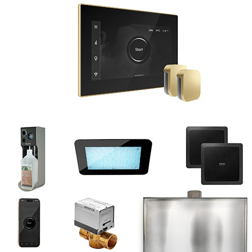 Mr.Steam XDream Max Steam Shower Control Package with iSteamX Control and Two Aroma SteamHeads