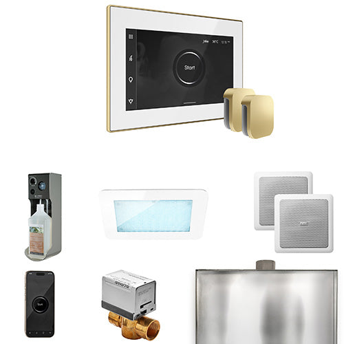 Mr.Steam XDream Max Steam Shower Control Package with iSteamX Control and Two Aroma SteamHeads