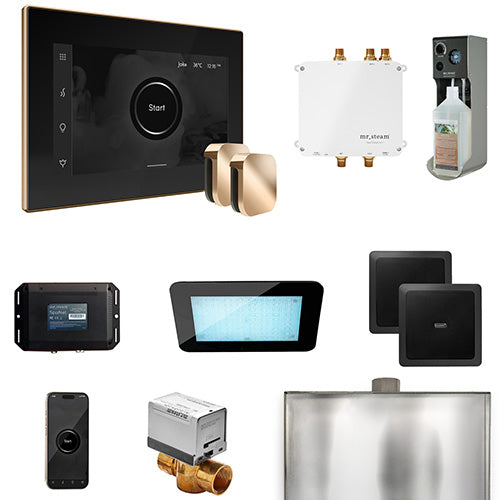 Mr.Steam Bliss Max Steam Shower Control Package with iSteamX Control and 2 Aroma Steamheads