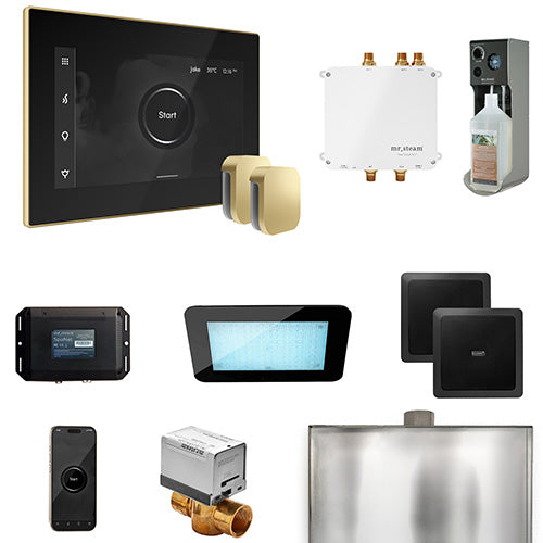 Mr.Steam Bliss Max Steam Shower Control Package with iSteamX Control and 2 Aroma Steamheads