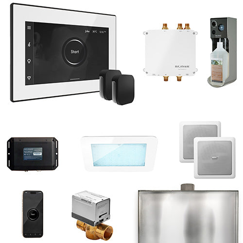 Mr.Steam Bliss Max Steam Shower Control Package with iSteamX Control and 2 Aroma Steamheads