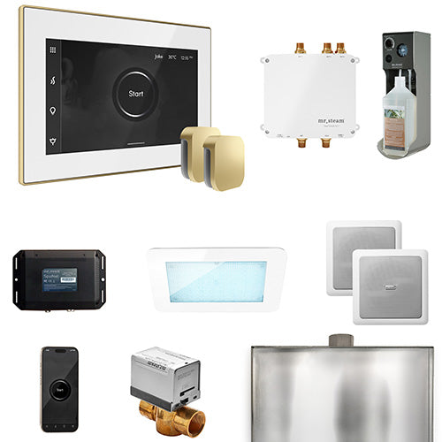 Mr.Steam Bliss Max Steam Shower Control Package with iSteamX Control and 2 Aroma Steamheads