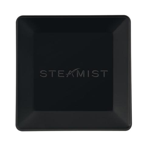 Steamist 3199 Steam Head, 3/4"