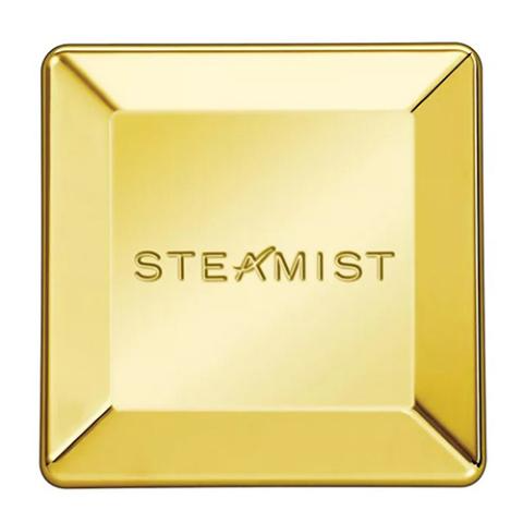 Steamist 3199 Steam Head, 3/4"