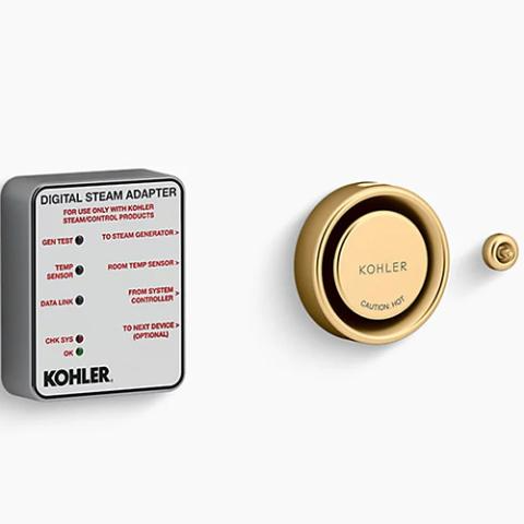 Kohler K-5548-K1 Invigoration DTV+ Series Steam Adapter Kit