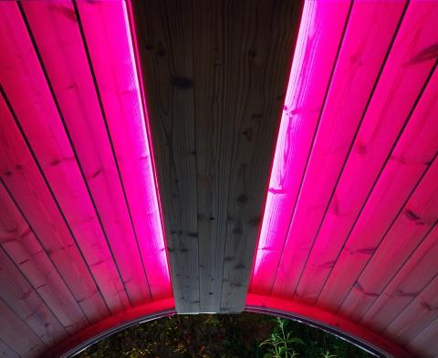 SaunaLife Emood color LED lighting installed in ERGO sauna ceiling